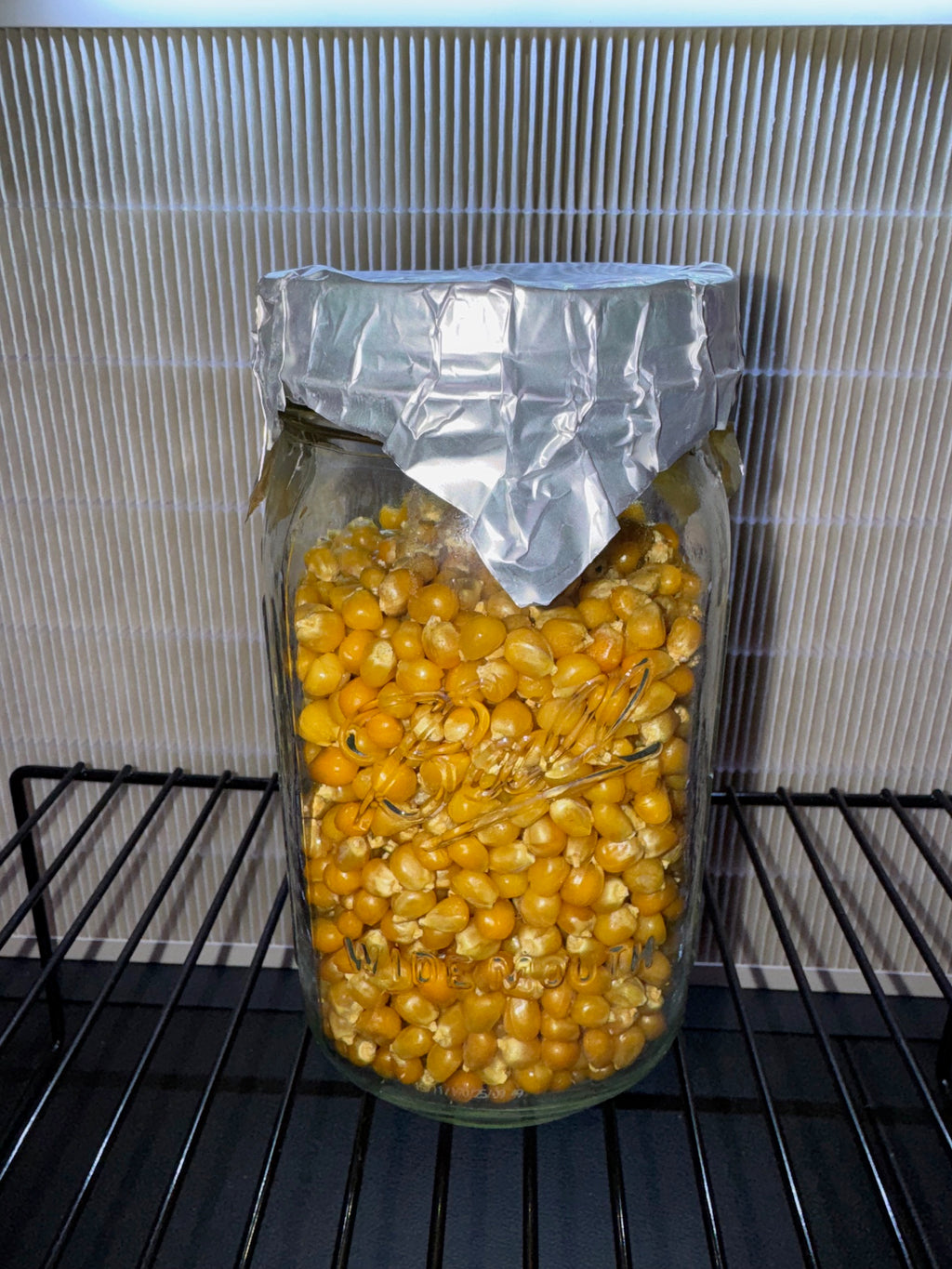 1lb Drippy Corn Jar