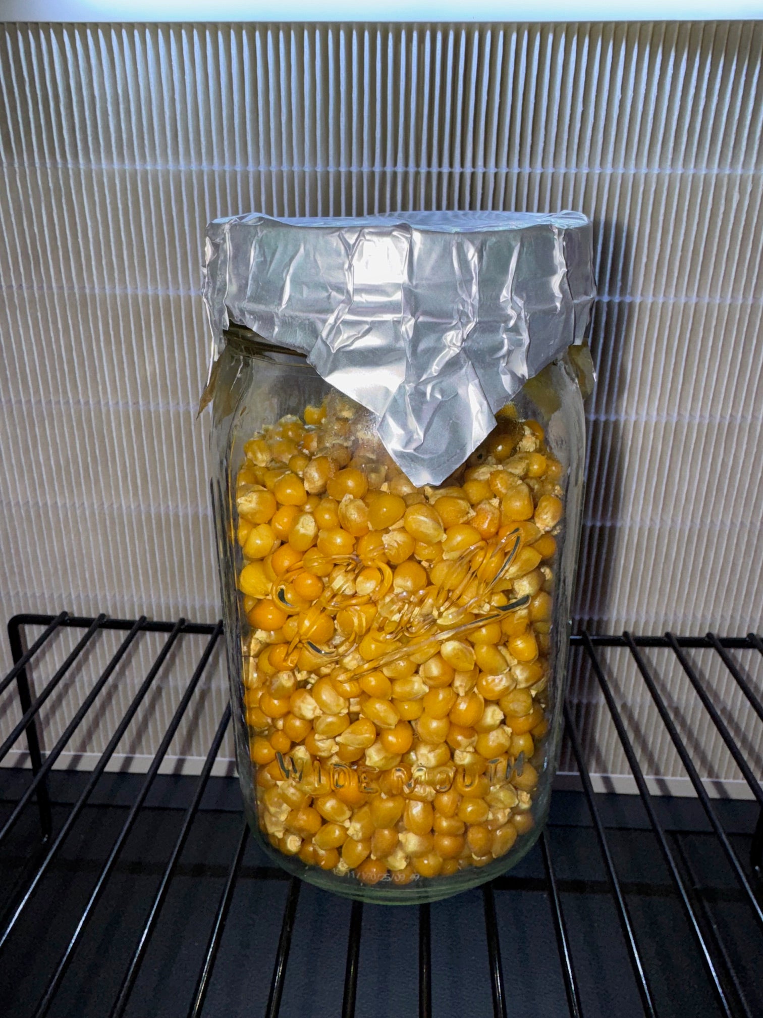 1lb Drippy Corn Jar