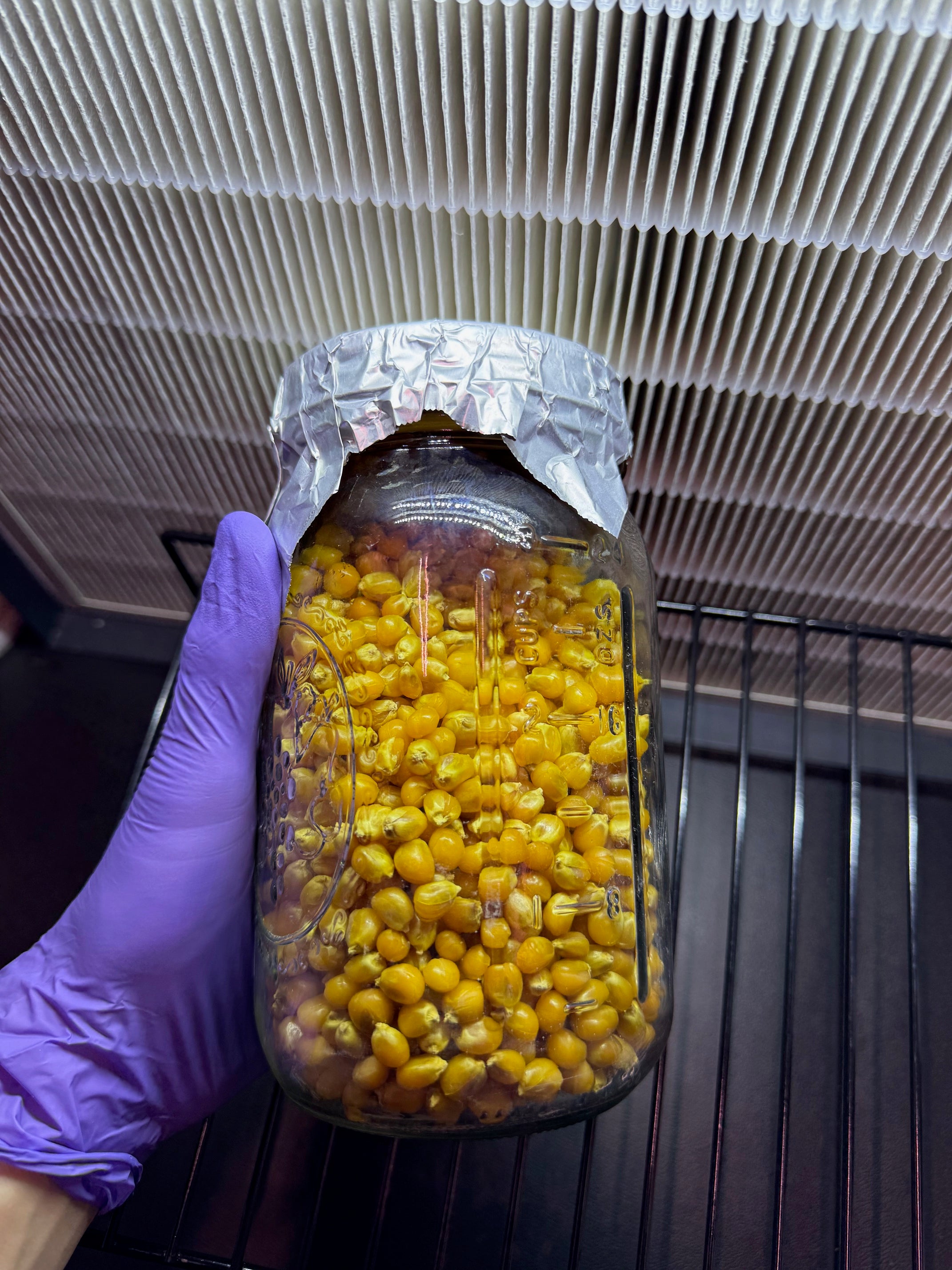 1lb Drippy Corn Jar