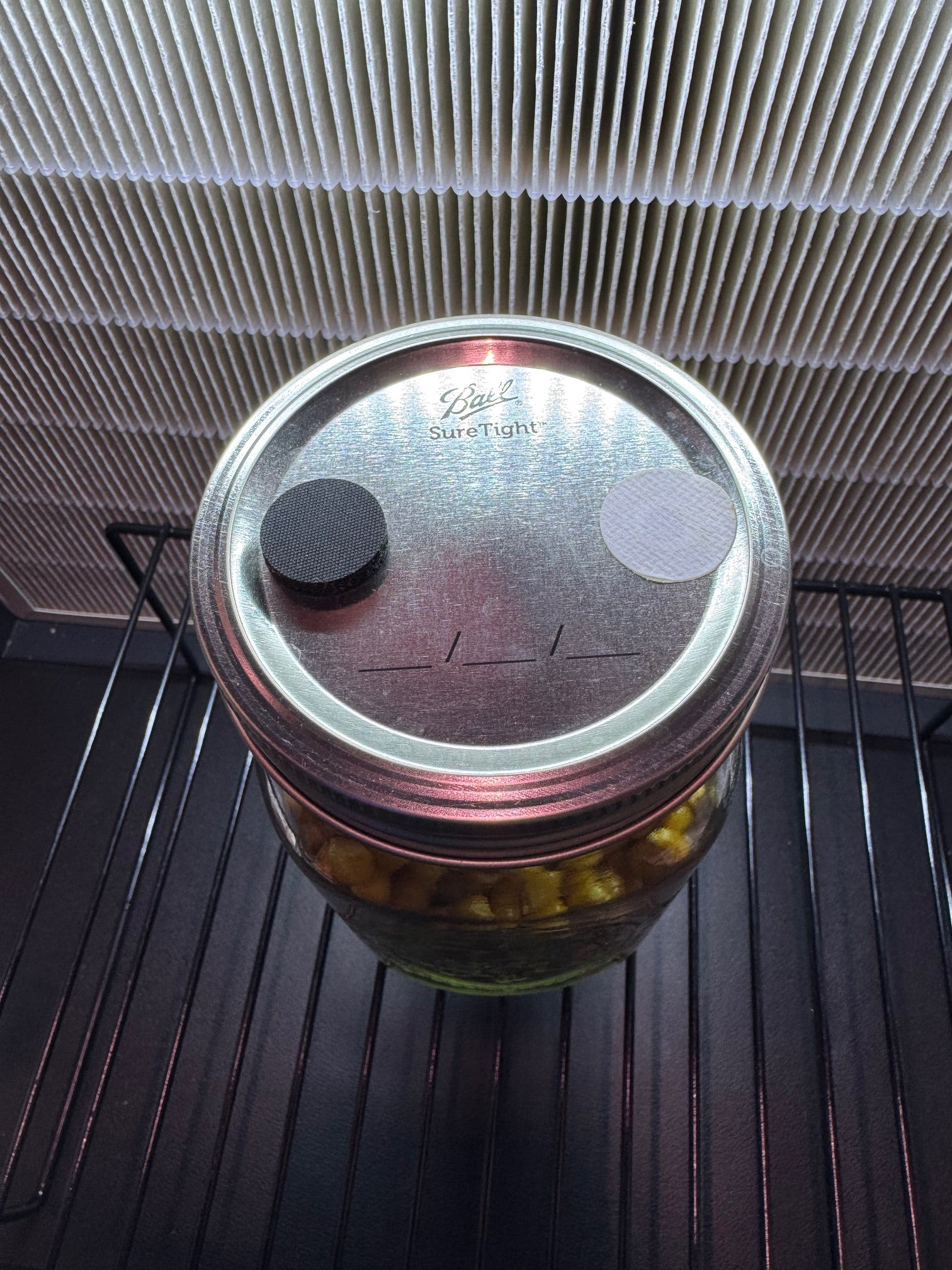 1lb Drippy Corn Jar