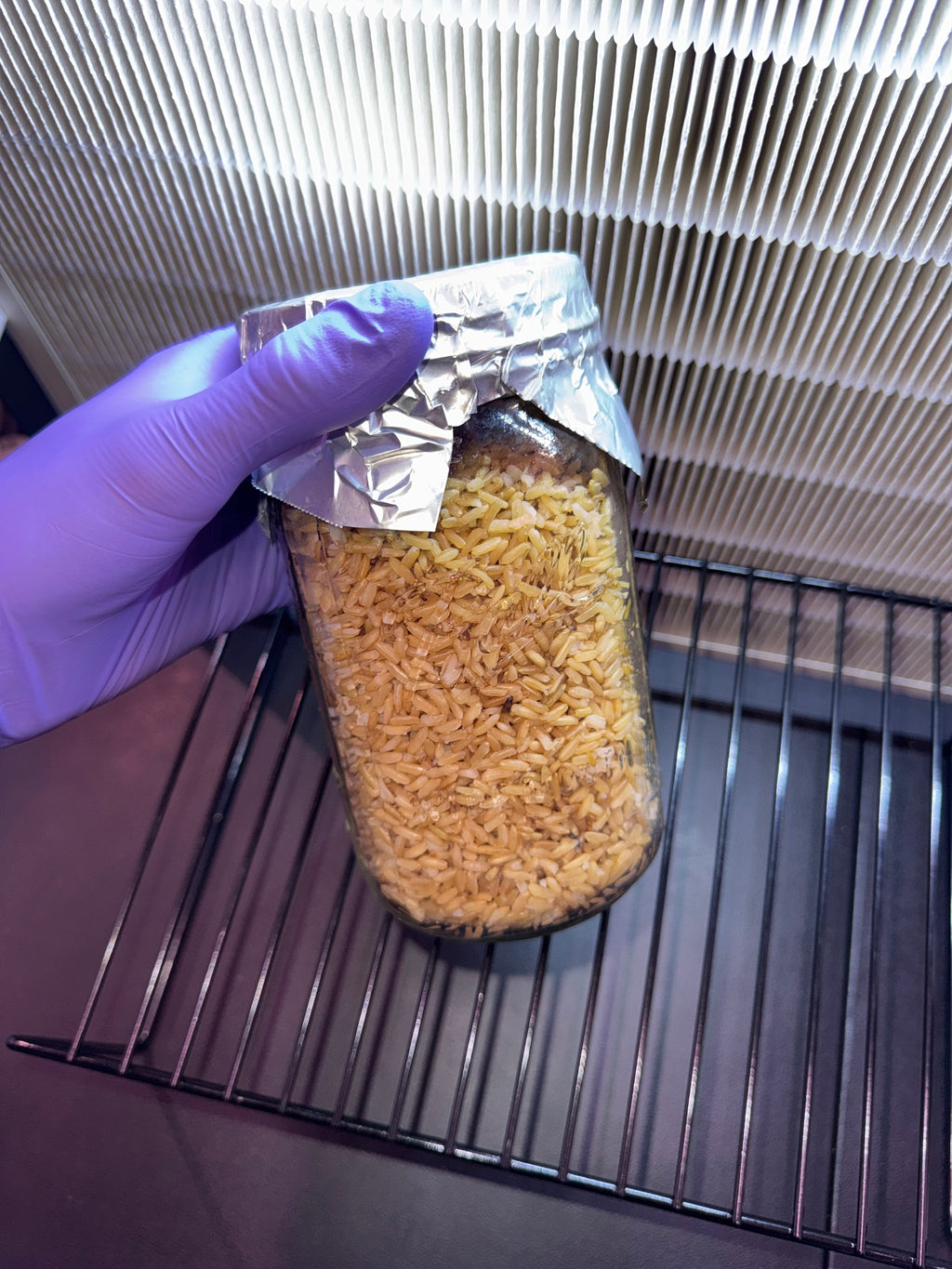 1lb Brown Rice Jar