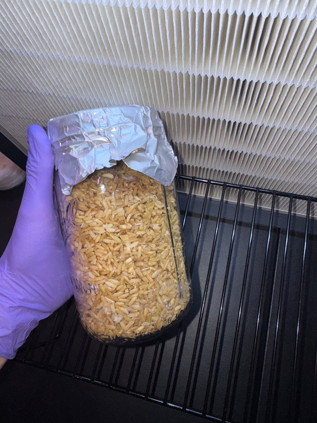1lb Brown Rice Jar
